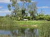 Lot 319 Bruce Highway, Wangaratta, Qld 4806-Image