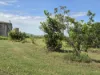Lot 319 Bruce Highway, Wangaratta, Qld 4806-Image