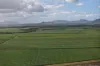 Lot 4 Wandarra Road, Foxdale, Qld 4800-Image