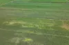 Lot 4 Wandarra Road, Foxdale, Qld 4800-Image