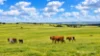 Lot 404 Red Gully Road, Mindarra, WA 6503-Image