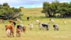 Lot 404 Red Gully Road, Mindarra, WA 6503-Image