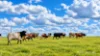 Lot 404 Red Gully Road, Mindarra, WA 6503-Image