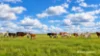 Lot 404 Red Gully Road, Mindarra, WA 6503-Image