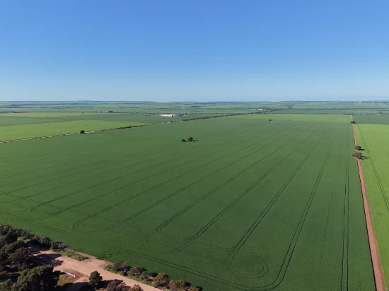Lot 409 Church Road, Thomas Plain, SA 5554
