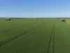 Lot 409 Church Road, Thomas Plain, SA 5554-Image