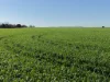 Lot 409 Church Road, Thomas Plain, SA 5554-Image