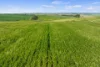 Lot 43 Horrocks Highway, Yacka, SA 5470-Image