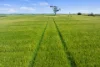 Lot 43 Horrocks Highway, Yacka, SA 5470-Image