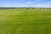Lot 43 Horrocks Highway, Yacka, SA 5470-Image