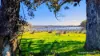 Lot 52 & 53 Cowalla Road, Cowalla, Gingin, WA 6503-Image