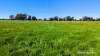 Lot 52 & 53 Cowalla Road, Cowalla, Gingin, WA 6503-Image