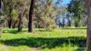 Lot 52 & 53 Cowalla Road, Cowalla, Gingin, WA 6503-Image