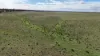 Lot 60 Sutherlands Road, Bower, SA 5374-Image