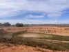 Lot 60 Sutherlands Road, Bower, SA 5374-Image