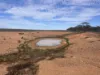 Lot 60 Sutherlands Road, Bower, SA 5374-Image