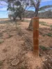 Lot 60 Sutherlands Road, Bower, SA 5374-Image