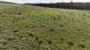 Lot 60 Sutherlands Road, Bower, SA 5374-Image