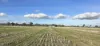 Lot 61 Rodgers Road, Gerogery, NSW 2642-Image