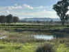 Lot 61 Rodgers Road, Gerogery, NSW 2642-Image