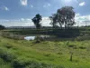 Lot 61 Rodgers Road, Gerogery, NSW 2642-Image