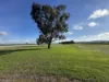 Lot 61 Rodgers Road, Gerogery, NSW 2642-Image