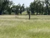 Lot 65 Elerslea Lane, Condamine, Qld 4416-Image