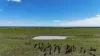 Lot 65 Elerslea Lane, Condamine, Qld 4416-Image