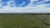 Lot 65 Elerslea Lane, Condamine, Qld 4416-Image