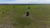 Lot 65 Elerslea Lane, Condamine, Qld 4416-Image