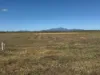 Lot 7 Ashfields Road, Guthalungra, Qld 4805