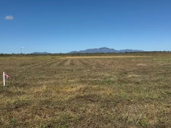 Lot 7 Ashfields Road, Guthalungra, Qld 4805