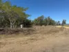 Lot 7 Ashfields Road, Guthalungra, Qld 4805-Image