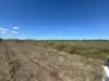 Lot 7 Ashfields Road, Guthalungra, Qld 4805-Image