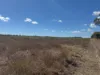 Lot 7 Ashfields Road, Guthalungra, Qld 4805-Image