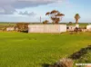Lot 7  Lower Templeton Road, Mount Templeton, SA 5461-Image