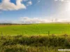 Lot 7  Lower Templeton Road, Mount Templeton, SA 5461-Image