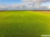 Lot 7  Lower Templeton Road, Mount Templeton, SA 5461-Image