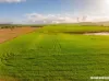 Lot 7  Lower Templeton Road, Mount Templeton, SA 5461-Image
