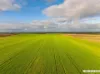 Lot 7  Lower Templeton Road, Mount Templeton, SA 5461-Image
