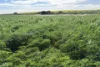Lot 9683 Walkaway-Nangetty Road, Ellendale, WA 6532-Image