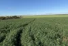 Lot 9683 Walkaway-Nangetty Road, Ellendale, WA 6532-Image