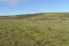 Lot 9683 Walkaway-Nangetty Road, Ellendale, WA 6532-Image