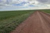 Lot 9683 Walkaway-Nangetty Road, Ellendale, WA 6532-Image