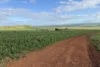 Lot 9683 Walkaway-Nangetty Road, Ellendale, WA 6532-Image