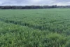 Lot 9683 Walkaway-Nangetty Road, Ellendale, WA 6532-Image
