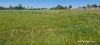 Lot B Negri Road, Willyung, WA 6330