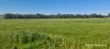Lot B Negri Road, Willyung, WA 6330-Image