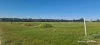 Lot B Negri Road, Willyung, WA 6330-Image