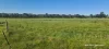 Lot B Negri Road, Willyung, WA 6330-Image